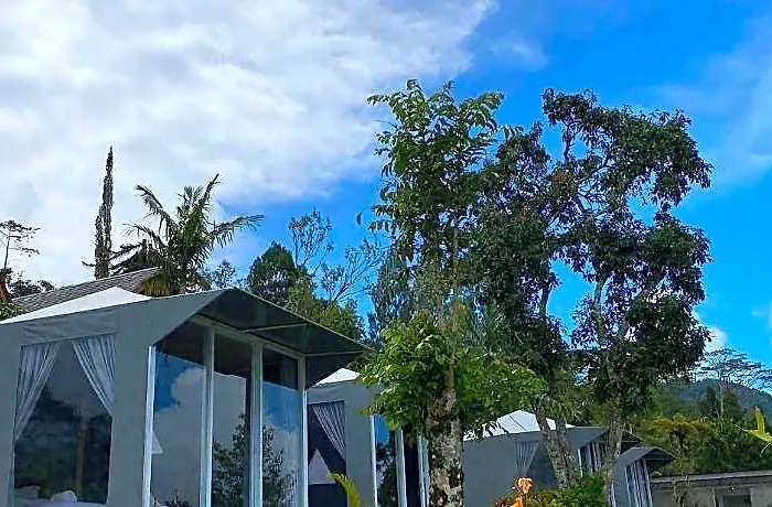 Catu Glamping Bedugul バリ島