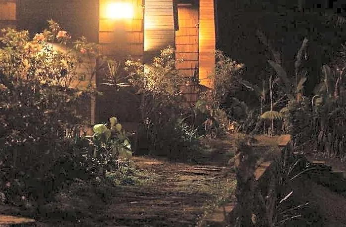 Catu Glamping Bedugul ホテル バリ島